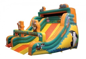 Woodland Slide Step2 Πλαστικά Παιχνίδια